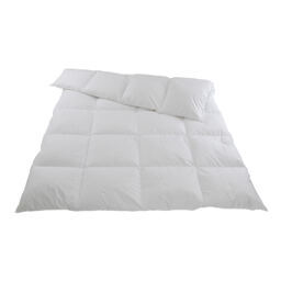 Duvet d'hiver / flocons de duvet