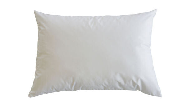 Oreiller douillet low / plumettes